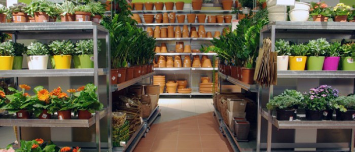 custom plant store display shelving and tables